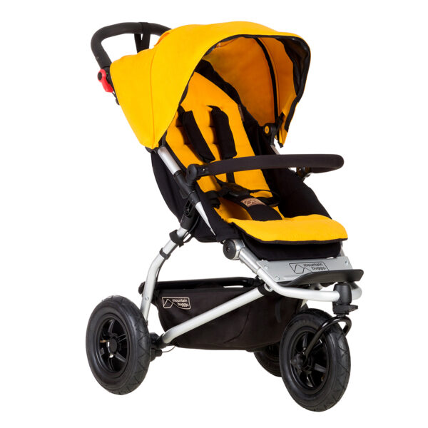Swift Mountain Buggy